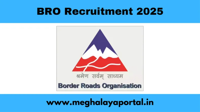 BRO Recruitment 2025 – Apply for 542 MSW & Vehicle Mechanic Posts