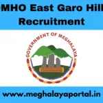 DMHO East Garo Hills Recruitment 2025 – 05 Ayush Medical Officer Posts