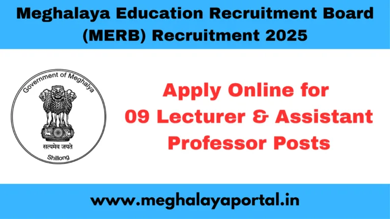MERB Recruitment 2025 – Apply Online for 09 Lecturer & Assistant Professor Posts