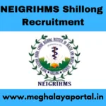 NEIGRIHMS Shillong Recruitment 2026 [92 Posts]
